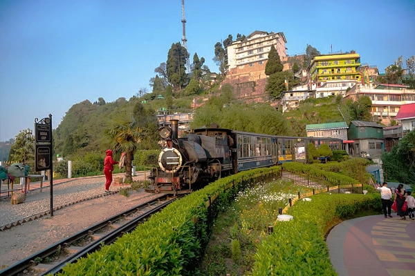 Darjeeling Tea Garden Trail